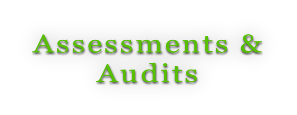 Assessments &  Audits